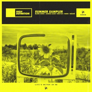 VA – Summer Sampler [HD030]